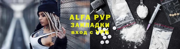 PSILOCYBIN Балабаново