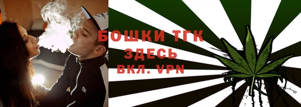 PSILOCYBIN Армянск