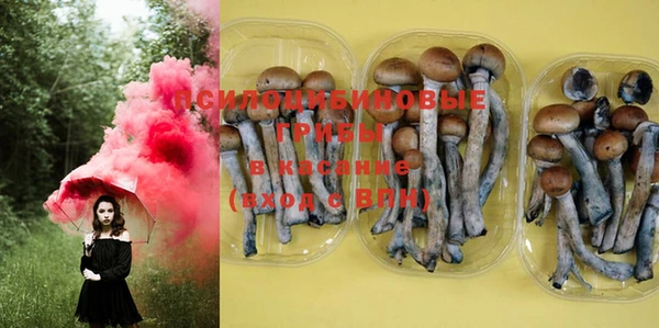 PSILOCYBIN Балабаново