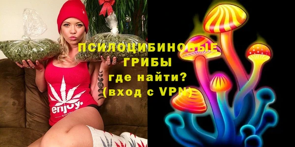 PSILOCYBIN Балабаново