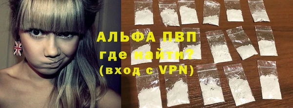 крисы Дегтярск