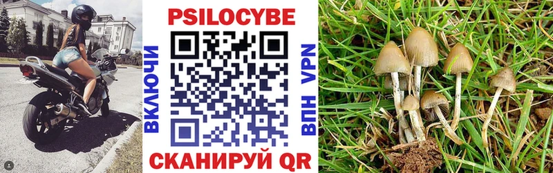 MEGA ССЫЛКА  Кологрив  Галлюциногенные грибы прущие грибы 